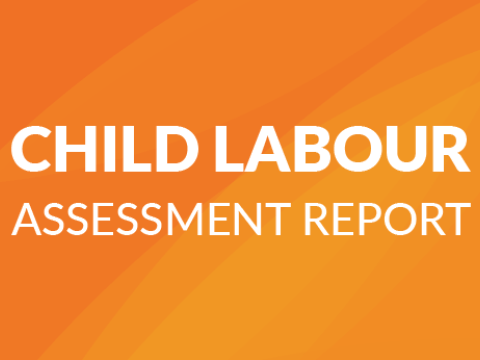 Child Labour Assessment Report